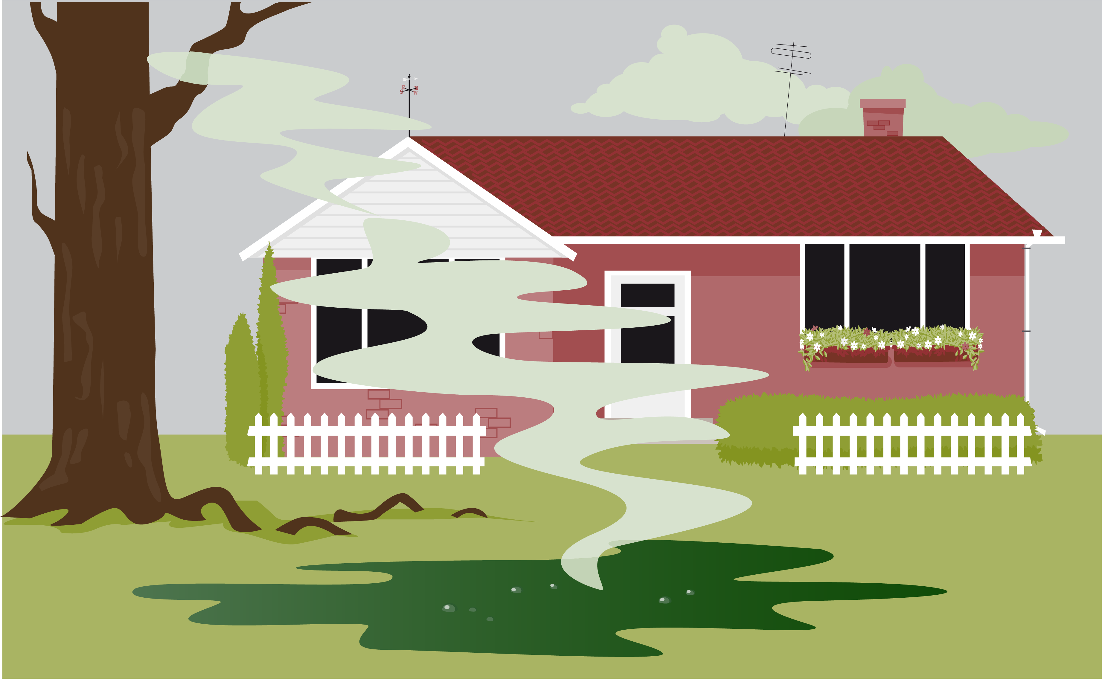 Are Your Roots In The 50S?  Understanding Older Septic Systems - doges90
