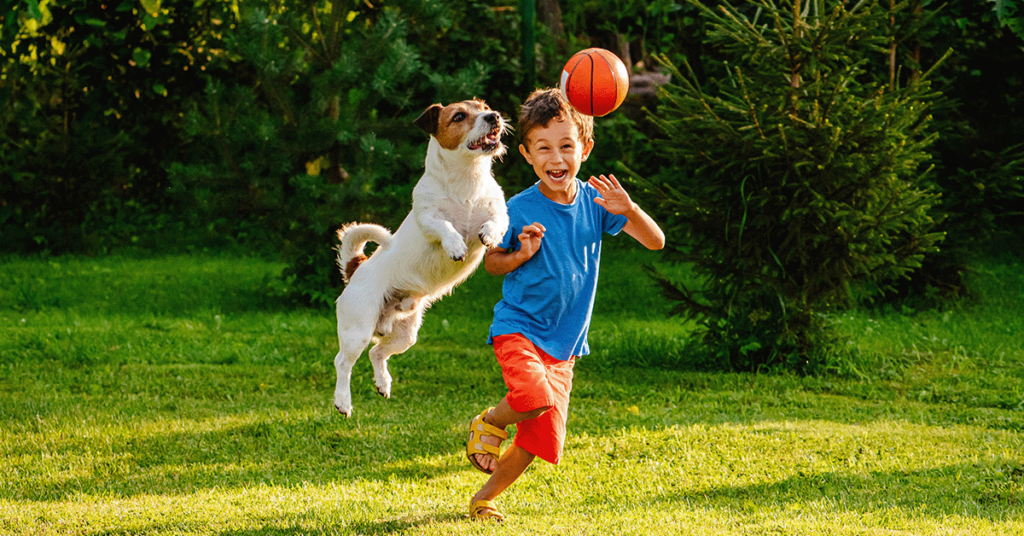 Addressing Common Fears- Is Your Septic System Safe for Children and Pets?