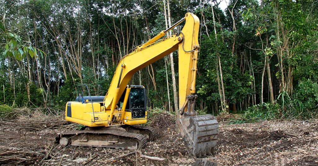 How to Protect Tree Roots During Excavation Projects in New Jersey
